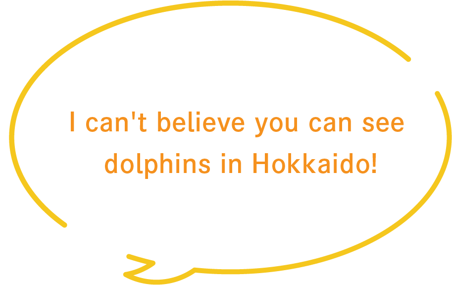 I can't believe you can see dolphins in Hokkaido!