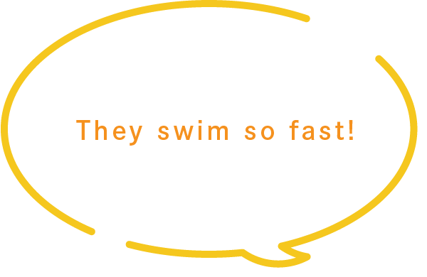 They swim so fast!